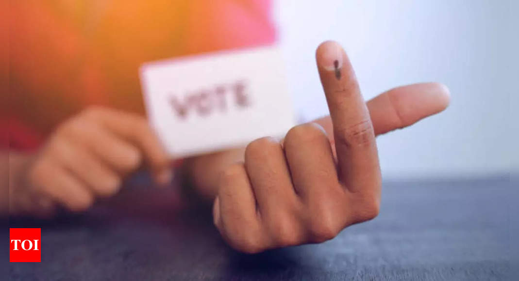 Lok Sabha elections 2024: How can NRIs cast vote, enroll as voters ...