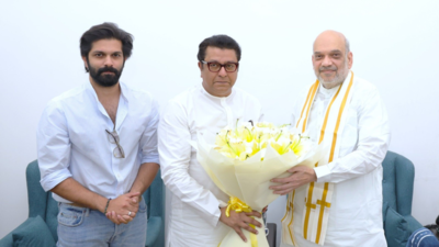 ‘BJP may give Raj Thackeray seats for only state, civic polls’