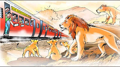 HC seeks measures to prevent lion deaths on railway tracks