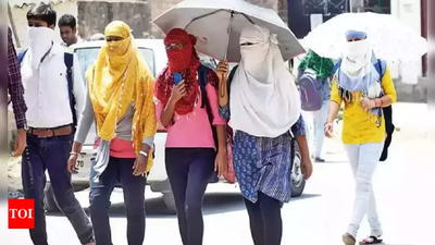 Delhi weather: IMD predicts drop in daytime temperature after warmest day