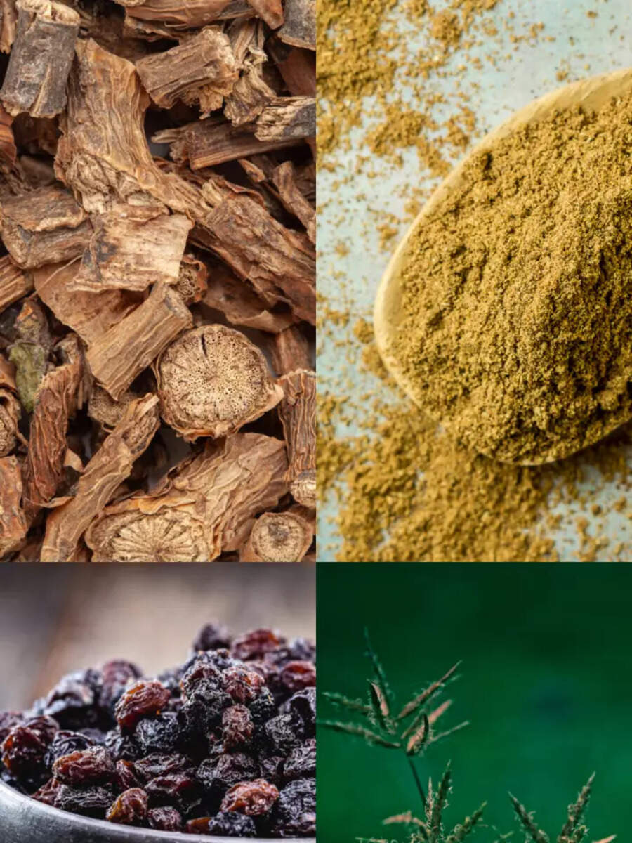 7 Ayurvedic herbs to control uric acid levels Times of India