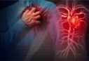 Increase in heart attack deaths decoded? Read this