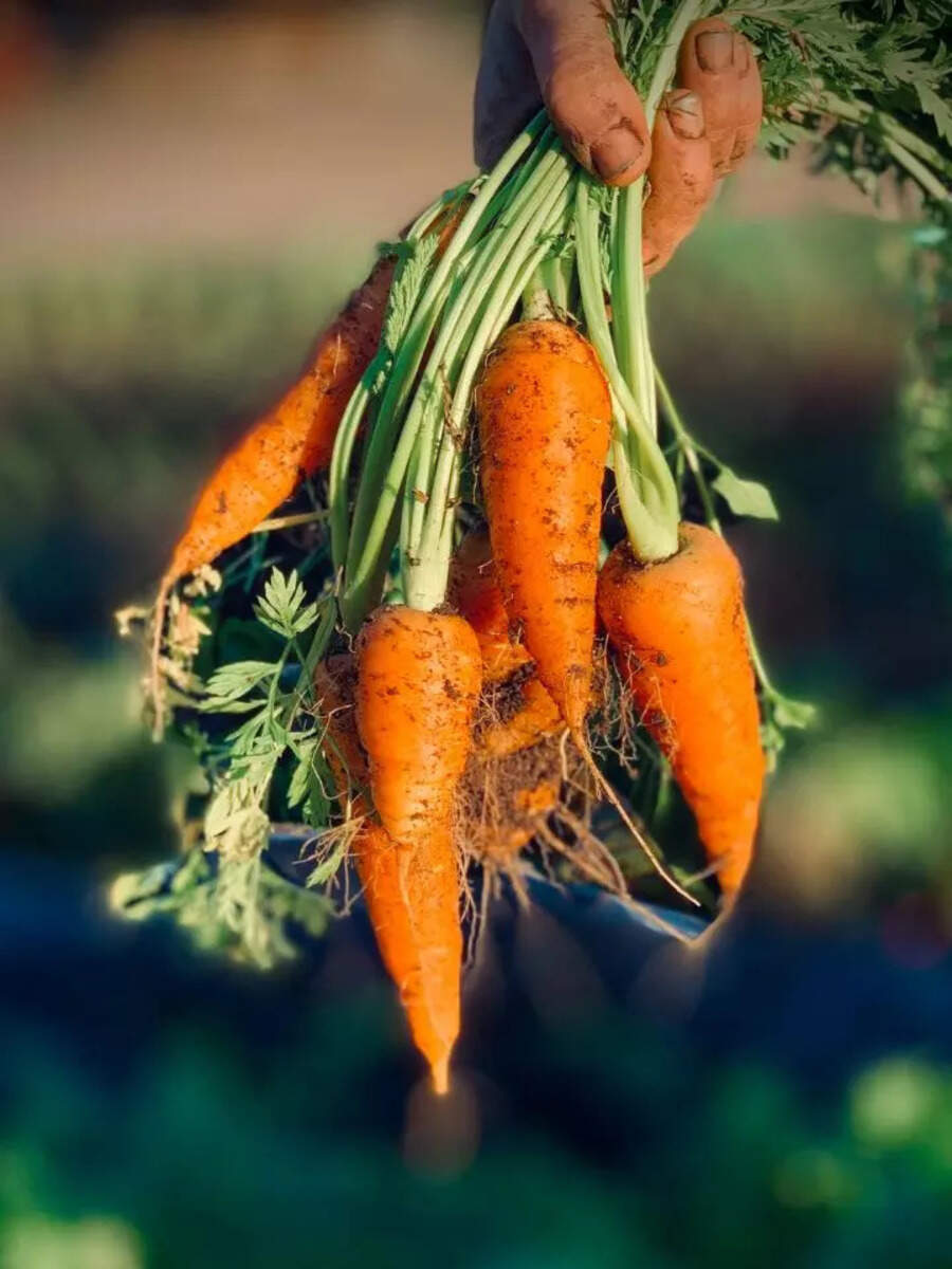  கேன்சர் வராமல் இருக்க இதை சாப்பிட்டாலே போதும்! 