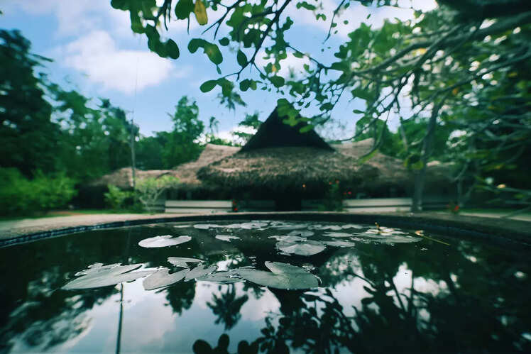 Marari Beach a CGH Earth Experience