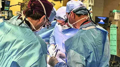 US surgeons transplant pig kidney into patient, a medical milestone