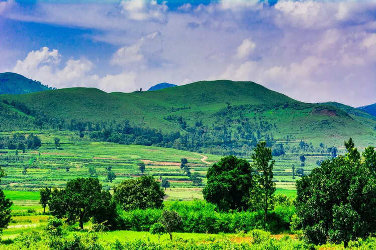 Araku Valley, Andhra Pradesh