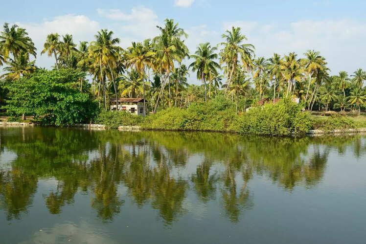 Gavi, Kerala