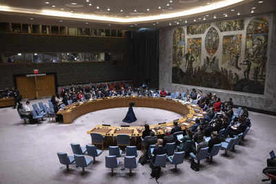 Russia, China veto US bid on Gaza 'ceasefire' at Security Council