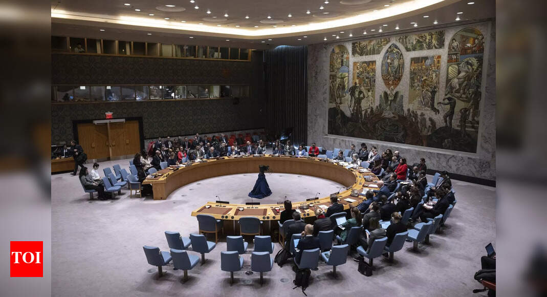 Russia, China veto US bid on Gaza 'ceasefire' at Security Council ...