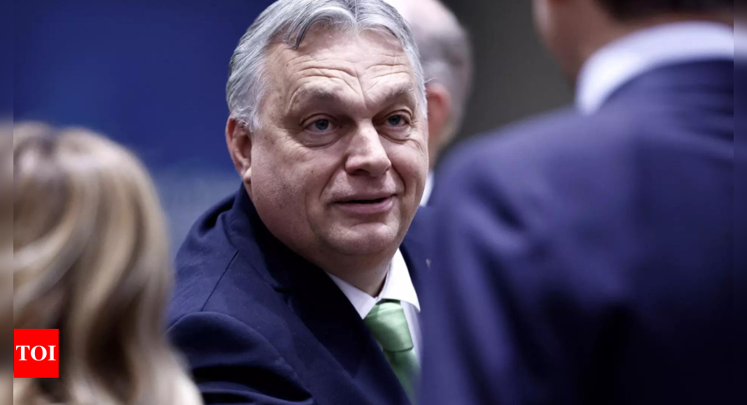 Un ancien initié s'engage à défier « l'usine électrique » d'Orban en Hongrie