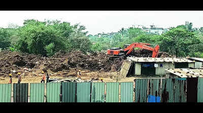 Nod sought to axe 36 more trees at 3 locations in PCMC