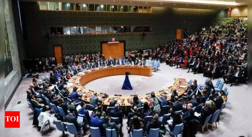 UN Security Council vote on new Gaza ceasefire text postponed to Monday ...