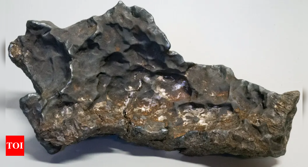 Rare iron meteorite sparks legal and scientific debate in Sweden – Times of India