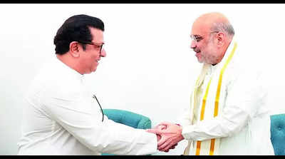 BJP may offer MNS MLC berth for Raj Thackeray's son, RS seat