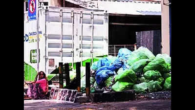 Waste bags welcome visitors at Marine Drive