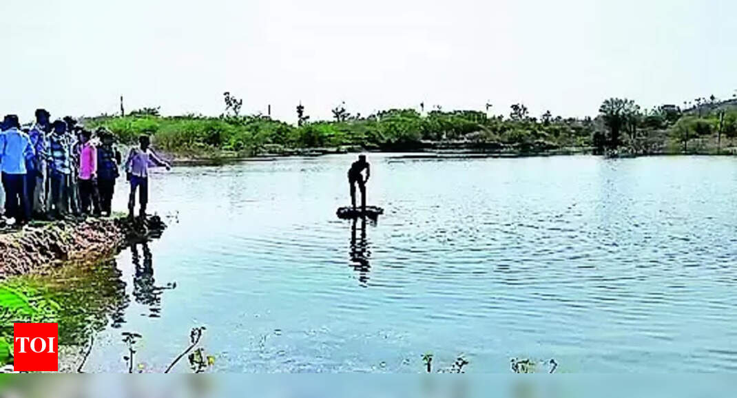 Gujarat Ponds: Five Youngsters Drown In Ponds | Vadodara News - Vimarsana News