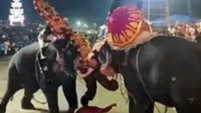 On cam: Tuskers go head to head at Kerala festival, miraculous escape for devotees