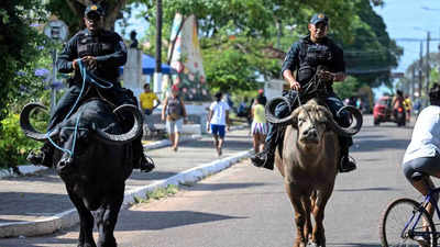 Do you know the police in this city ride buffaloes for patrolling?