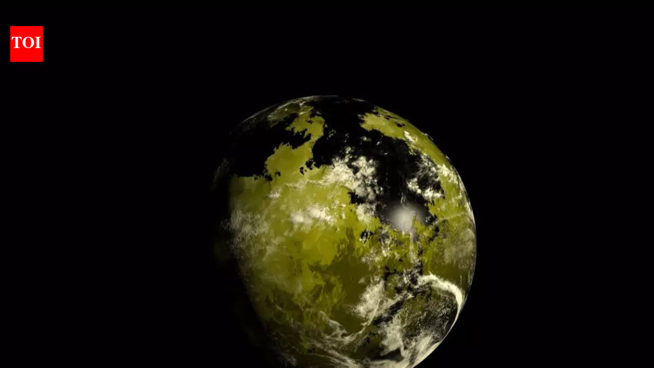 From Kepler-452b to Proxima Centauri b: Exoplanets that are just like Earth
