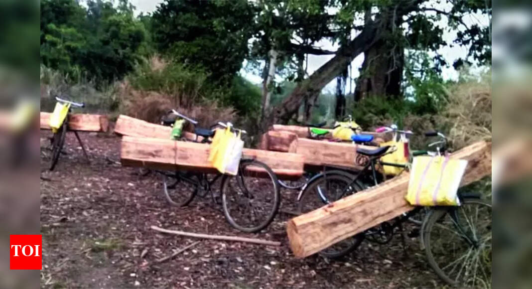 Illegal Activities: Gang Carrying Out Illegal Activities In Udanti ...
