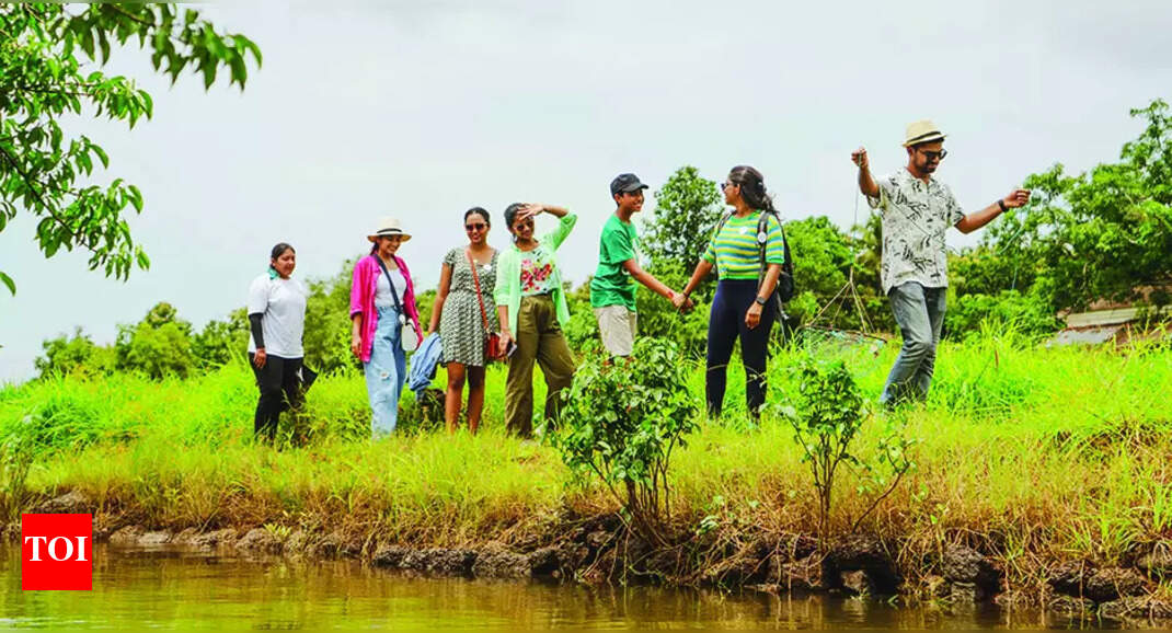 Done with beaches, Goa's 'repeat' visitors flock to offbeat experiences ...