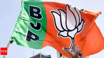 BJP releases list of 17 aspirants in state, drops Ashwini & two others