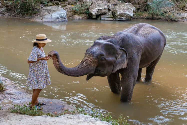 Chiang Mai, Thailand