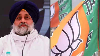 BJP rules out alliance with Akali Dal in Punjab; set to contest alone