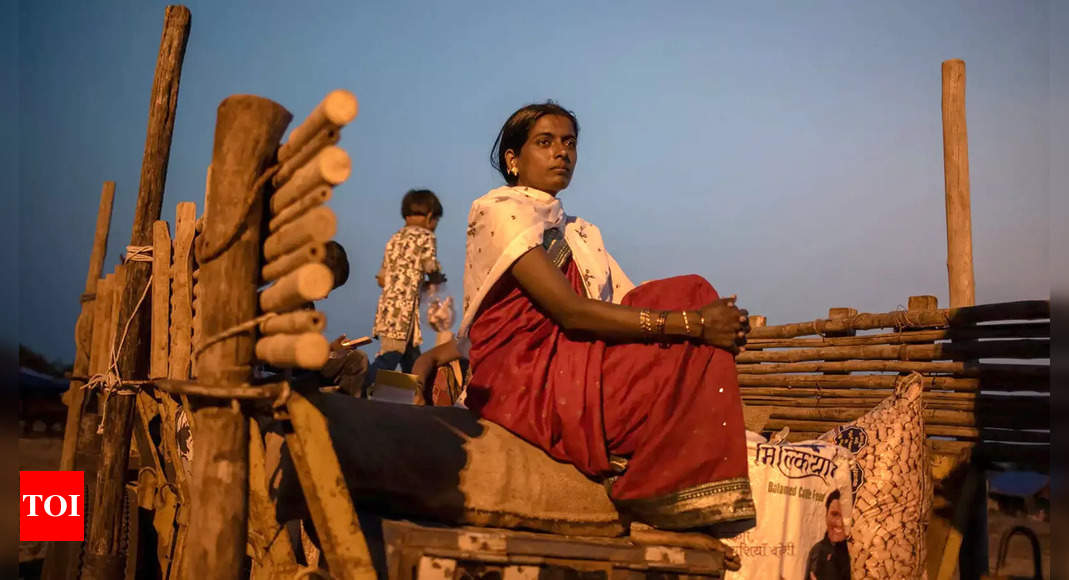 Debt, Child Marriage And Hysterectomies Fuel Maharashtra's Sugar ...