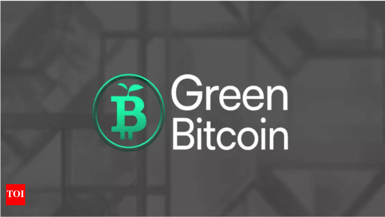 5 new Cryptos to buy for 2024 bull run gains - Times of India