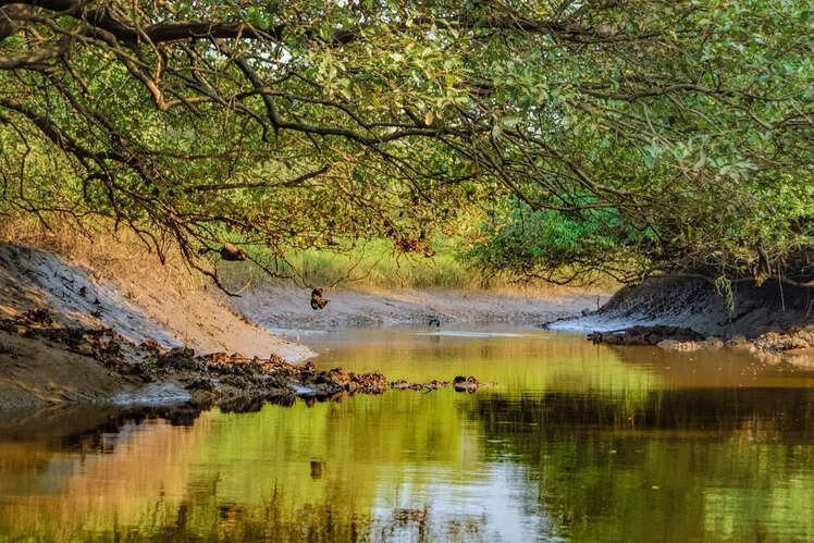 Salim Ali Bird Sanctuary