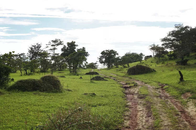 Mhadei Wildlife Sanctuary