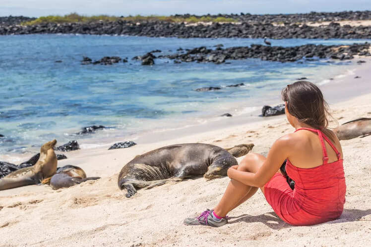 Snorkelling with sea lions in Galapagos Islands, Ecuador