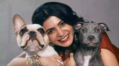 Samantha Ruth Prabhu says, 'There is only one dangerous breed, and it is not dogs' as she shares video with her pet Saasha