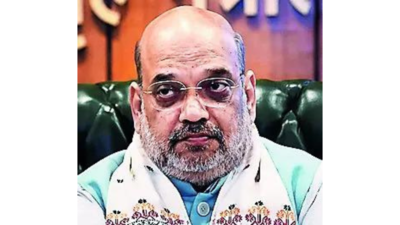 After polls, J&K police alone will handle law & order: Amit Shah