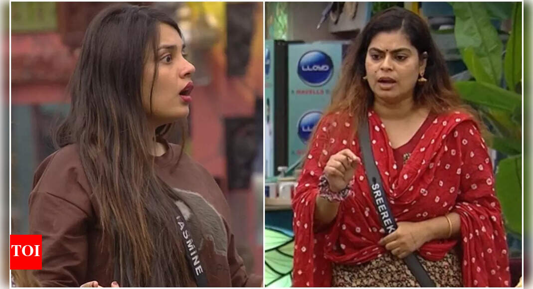 Bigg Boss Malayalam 6: Sreerekha confronts Jasmin for disturbing her ...