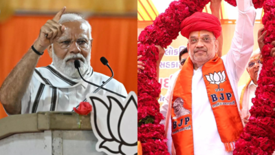 Lok Sabha polls: PM Modi, Amit Shah among 40 star campaigners of BJP in Bihar