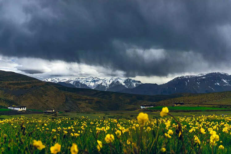 Valley of Flowers National Park, Uttarakhand