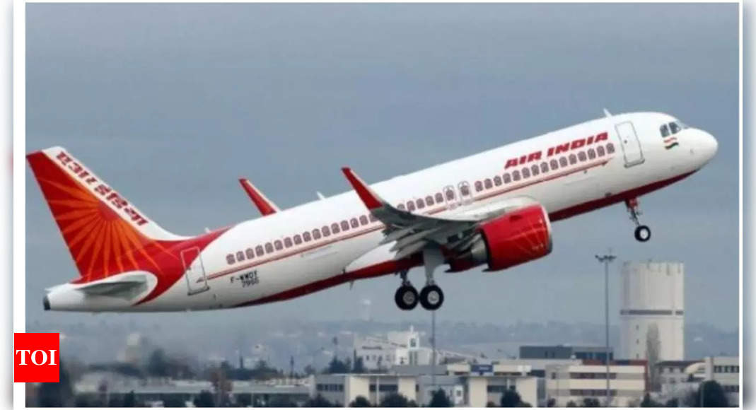 'Do better': Women accuses Air India of giving mother's business class seat to another passenger