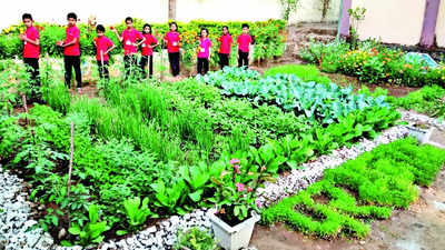 Over 24,000 govt schools in Maha run kitchen gardens