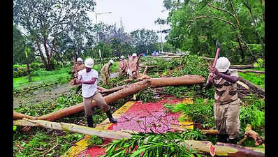 BJD makes disaster mgmt poll plank, highlights feats