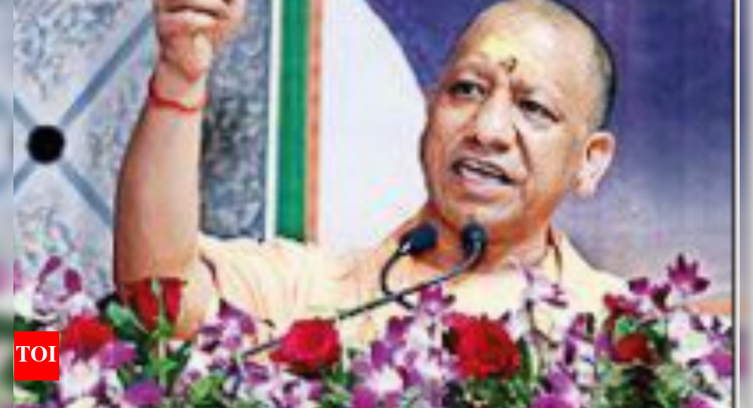 Stop WhatsApp Texts on 'Viksit Bharat' Messages on WhatsApp