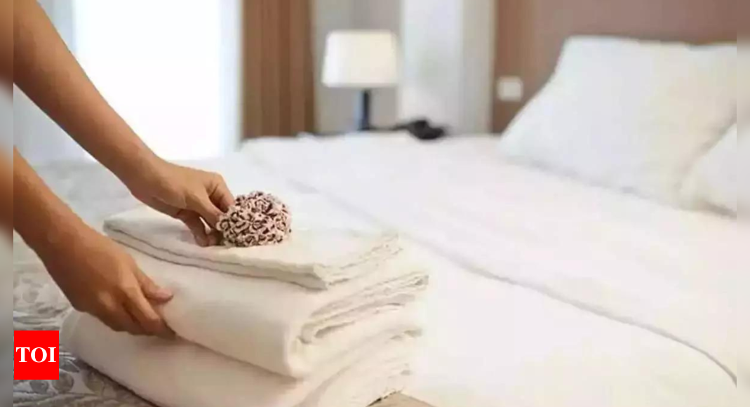 Hotels to see 9-11% Revenue Growth in FY25: CareEdge Ratings Report – Times of India