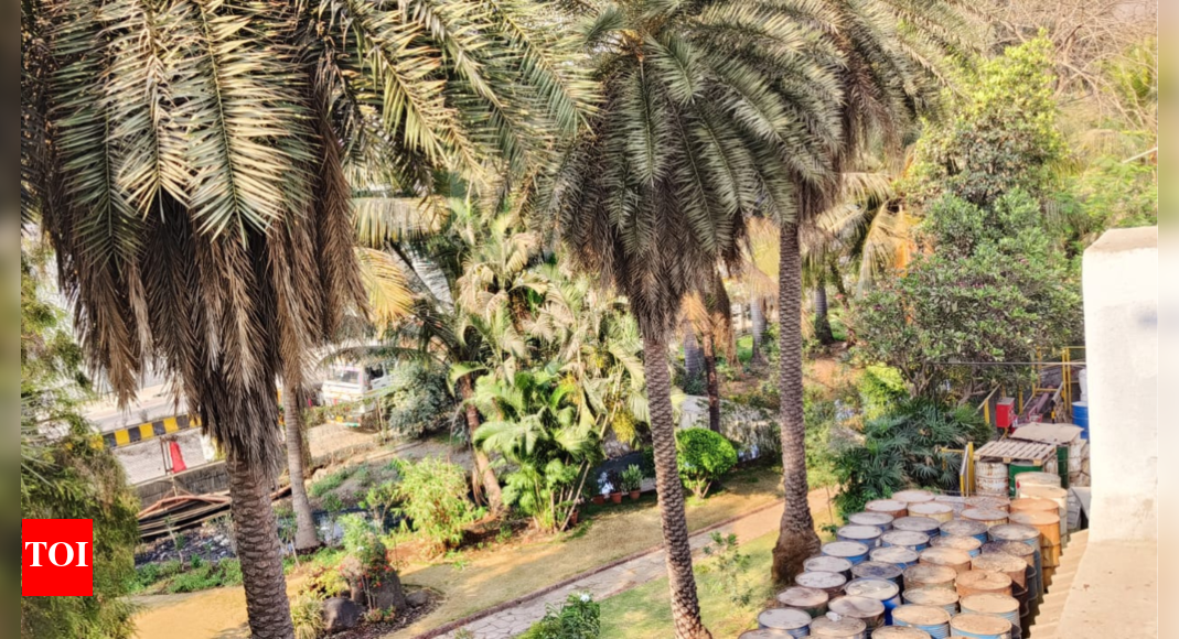 Navi Mumbai: 200 trees face the MIDC axe at Pawane, greens send SOS to CM | Navi Mumbai News - Vimarsana News