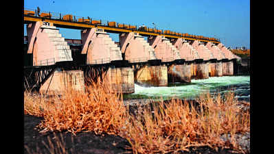 Gangapur dam level falls below 50%, against last year’s storage of 62%