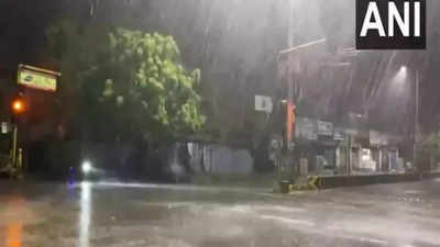 Heavy rain lashes parts of Tamil Nadu's Thoothukudi