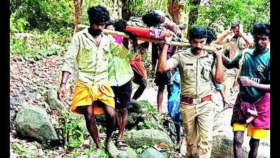 Jumbo kills tribeswoman in forest near Wayanad border