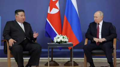 What does Russia's veto on North Korea sanctions monitoring mean?