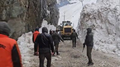 Avalanche hits Sonamarg; several tourists stranded