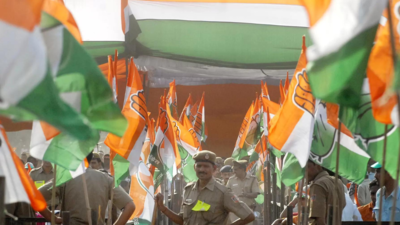 'Congress had time to respond, chose to stir political row'